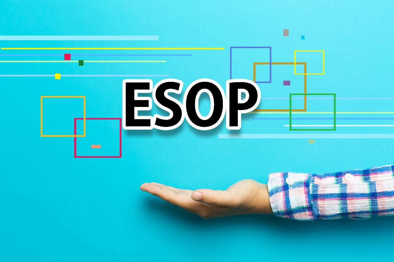 Read more about the article An Introduction to Employee Share Ownership Plans (ESOP): Pay Without Cash